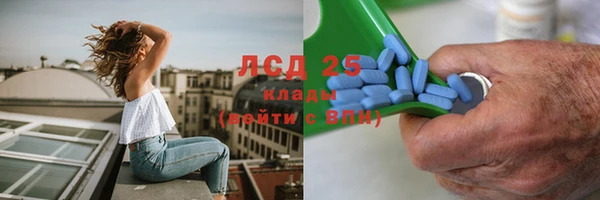 apvp Арсеньев