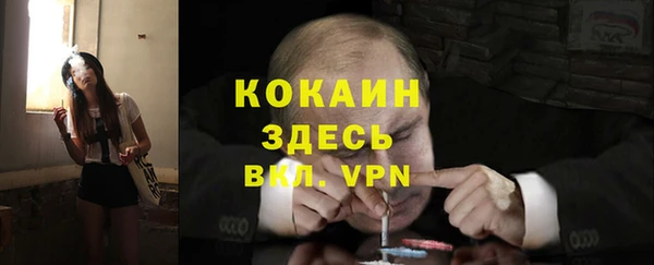 apvp Арсеньев