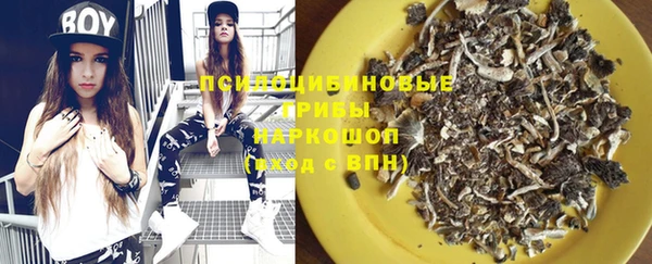 прущая мука Армянск