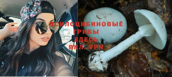 apvp Арсеньев